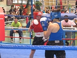 IMG_6584