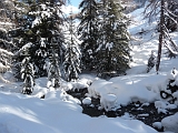 Julia paysage (3)