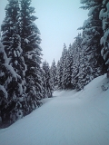 La_Plagne_2010_DSC00112_CL