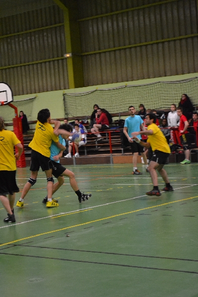 DSC_0922.JPG