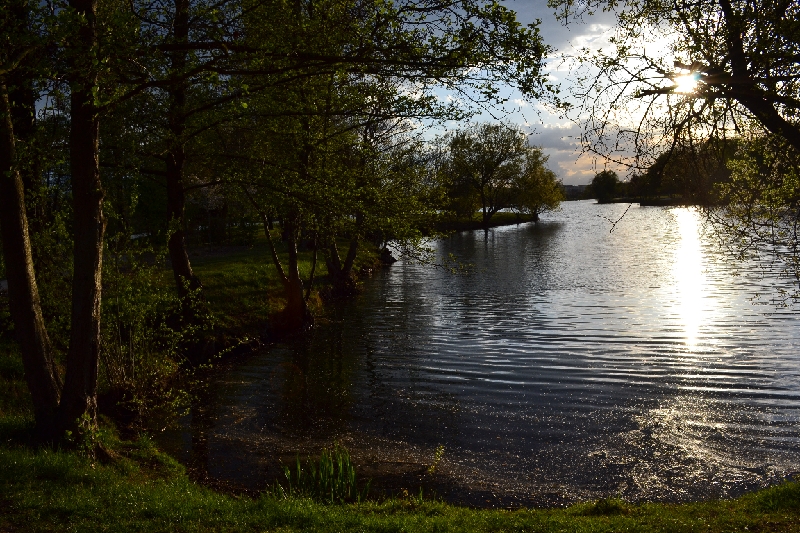 DSC_0225.JPG