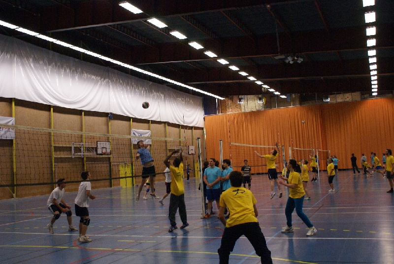 DSC08710.JPG - SONY DSC                     