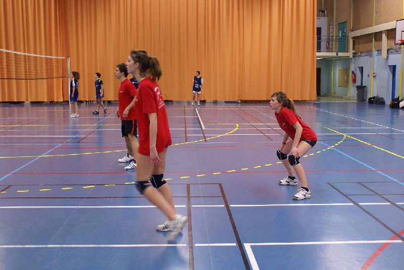 DSC08782.JPG - SONY DSC                     