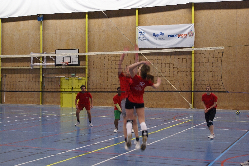 DSC08845.JPG - SONY DSC                     