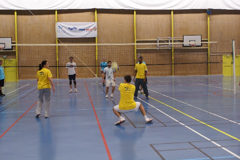 DSC08874.JPG - SONY DSC                     