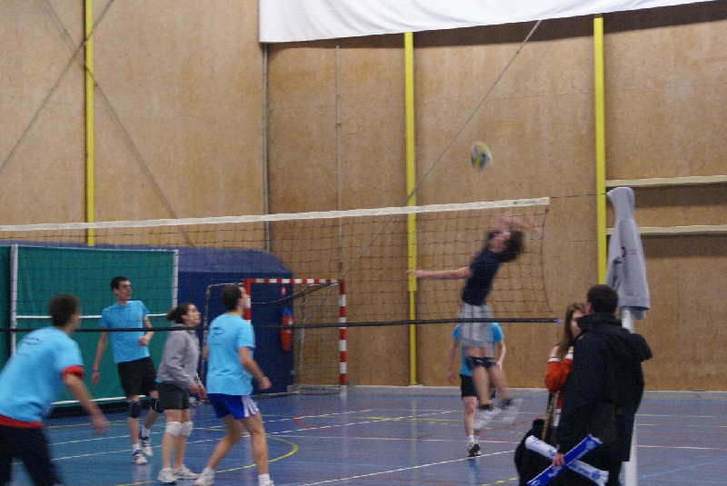 DSC08881.JPG - SONY DSC                     