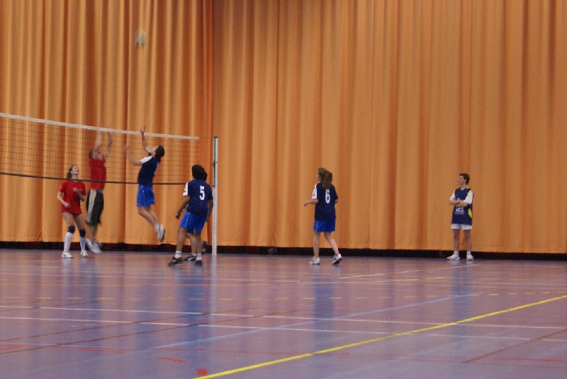 DSC08887.JPG - SONY DSC                     