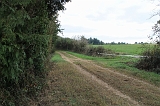 IMG_0793