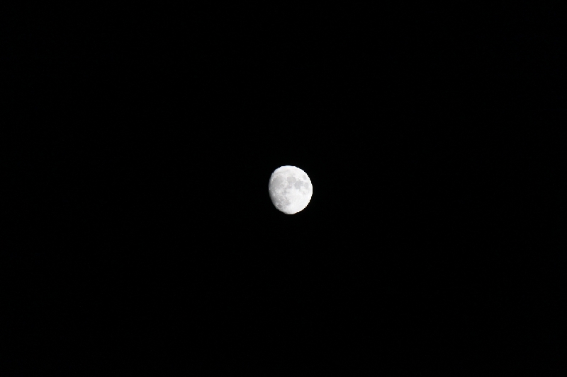 IMG_3469.JPG