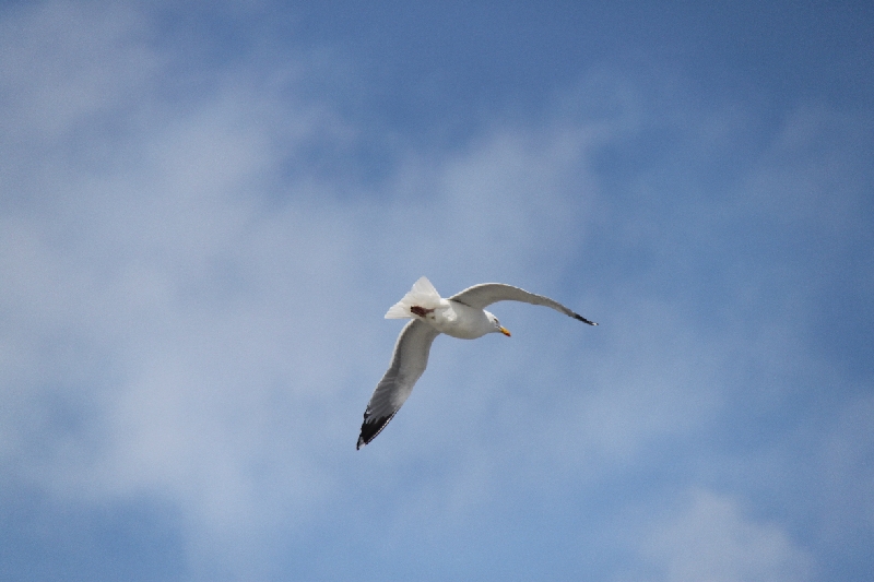 IMG_3664.JPG