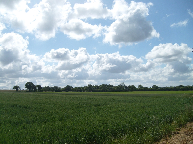 S7301772.JPG -  