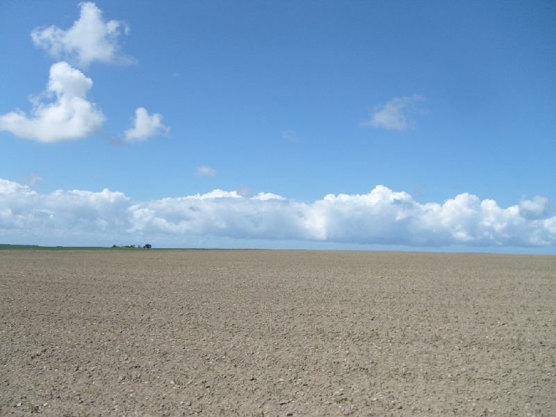 S7301785.JPG -  