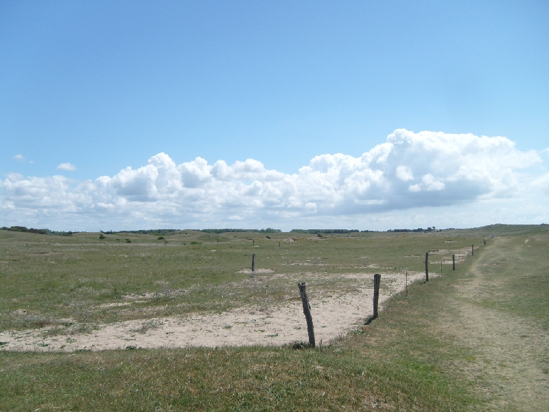S7301823.JPG -  