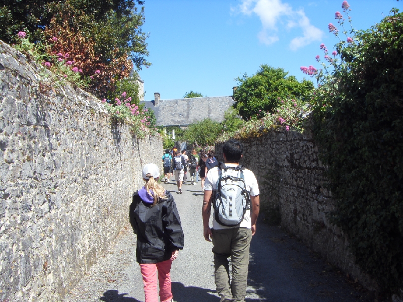 SDC14336.JPG -  