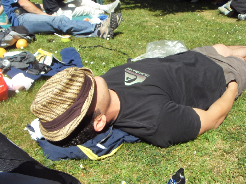 SDC14341.JPG -  