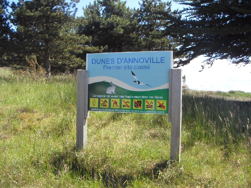 SDC14356.JPG -  