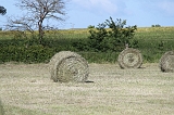 IMG_3074