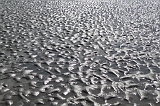 IMG_3557