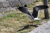 IMG_3823