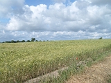 S7301844