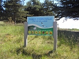 SDC14356