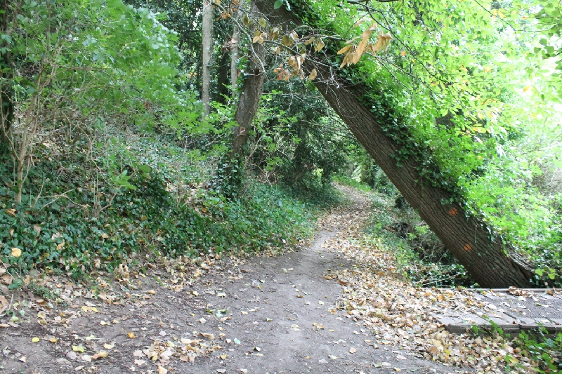 IMG_3181.JPG