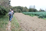 IMG_3190