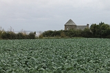 IMG_3227