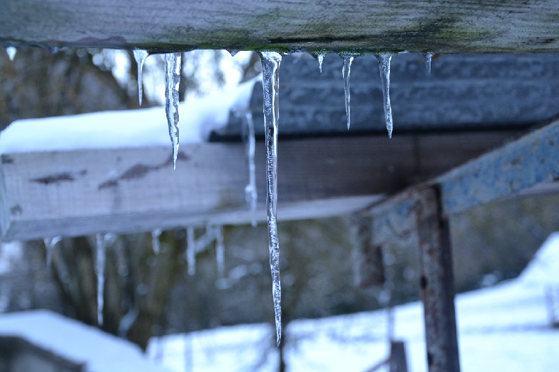 DSC_0756.JPG