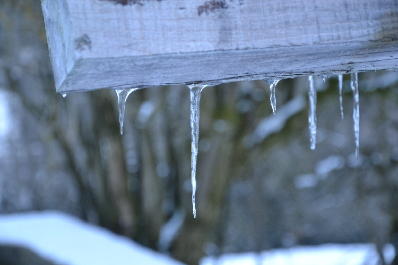DSC_0757.JPG