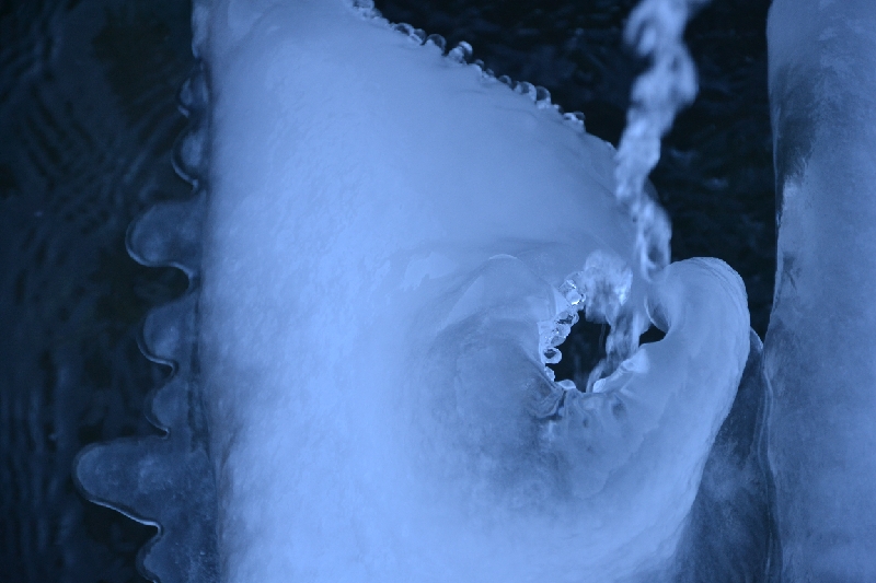 DSC_0763.JPG