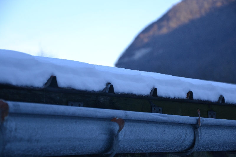 DSC_0764.JPG
