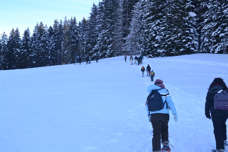 DSC_0777.JPG