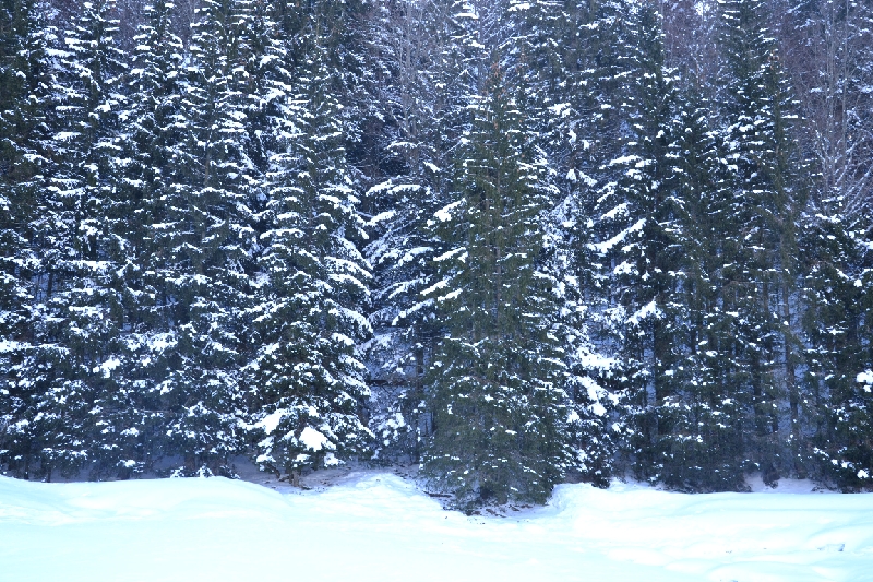 DSC_0778.JPG