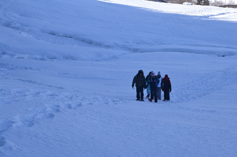DSC_0780.JPG