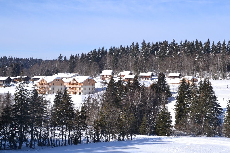 DSC_0782.JPG