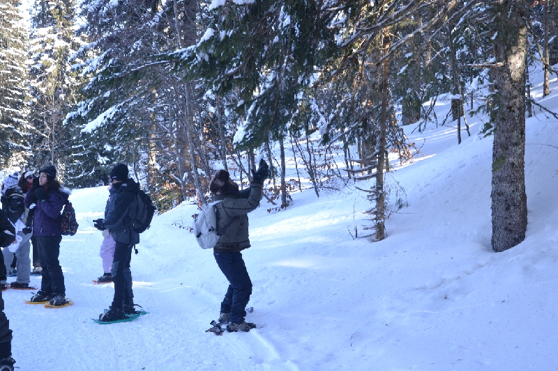 DSC_0826.JPG