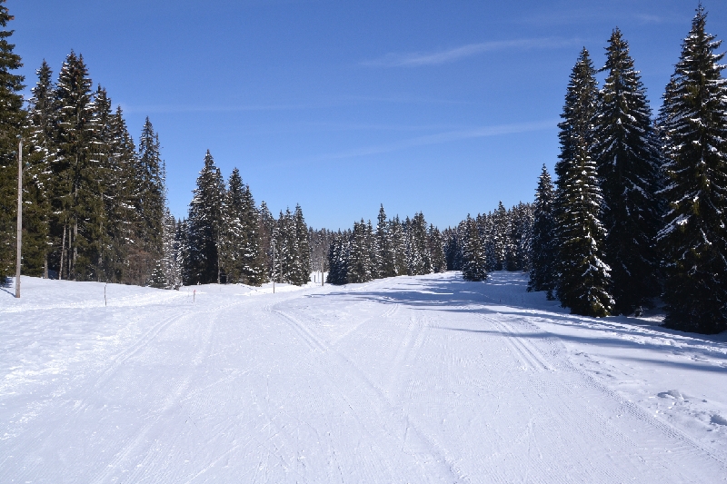 DSC_0845.JPG