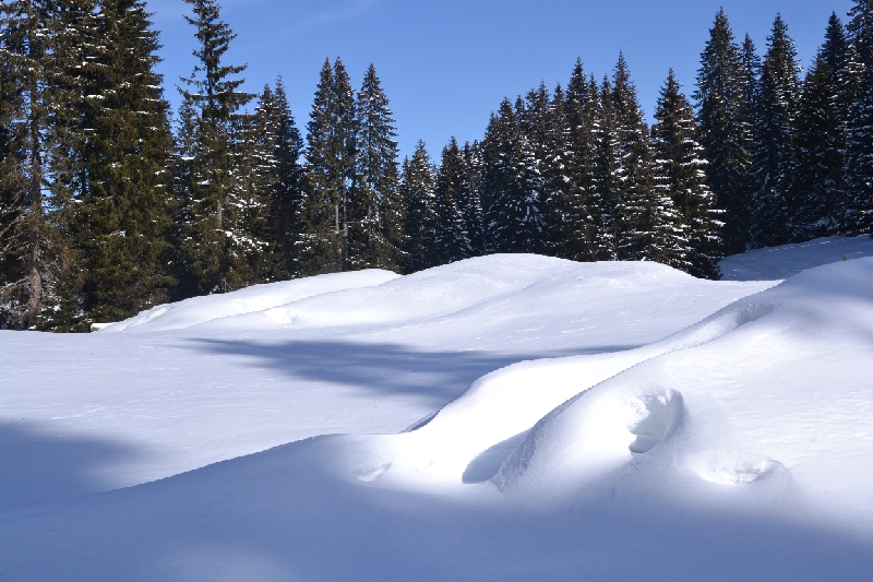 DSC_0876.JPG