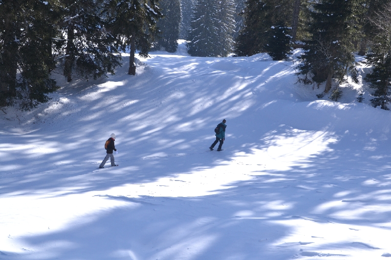 DSC_0880.JPG