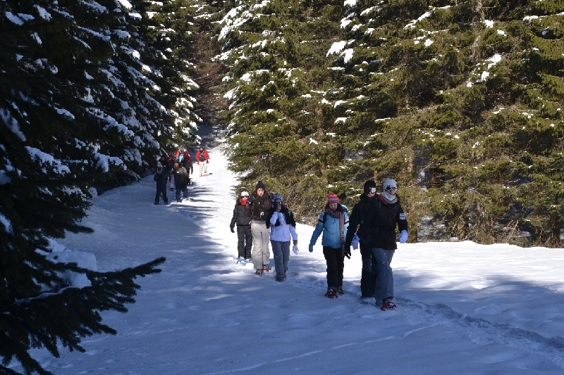 DSC_0913.JPG