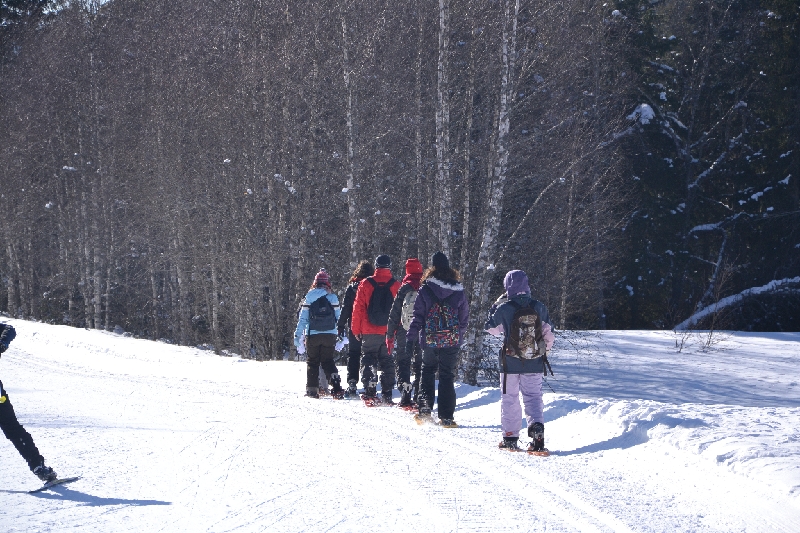 DSC_0920.JPG