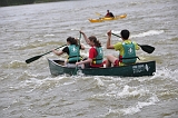 Univer Loire  (146)