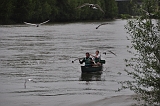 Univer Loire  (199)