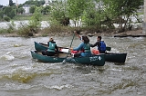 Univer Loire  (237)