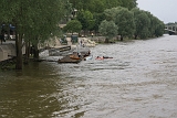 Univer Loire 2 (75)