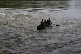 Univer Loire 2 (81)