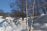 IMG_1309
